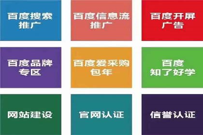 百度推广公司案例展示：从零到一的蜕变之路